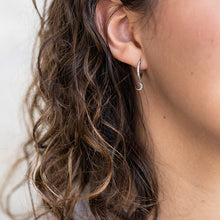 Load image into Gallery viewer, Night Court Huggie Earrings