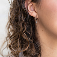 Load image into Gallery viewer, Night Court Huggie Earrings
